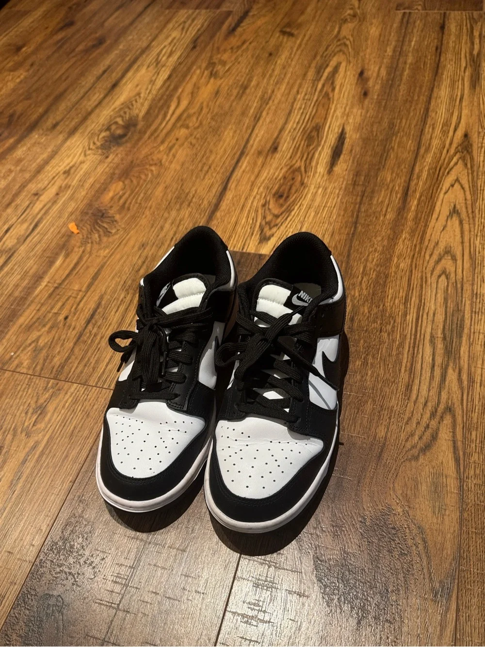 Nike Black and White Low-Top Skate Sneakers